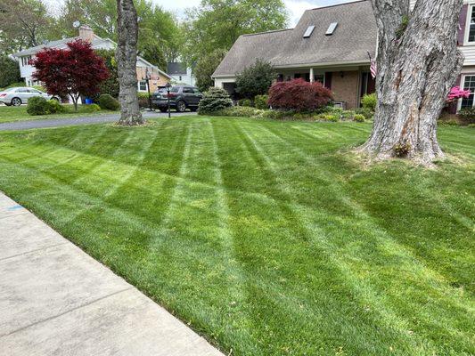 Lawn mowing