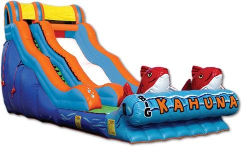 BIG KAHUNA The Big Kahuna slide is perfect for little beachcombers and surfers at your next party.