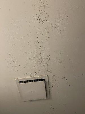 Black mold in bathroom. Leaking from ceiling that seems to have water damage.