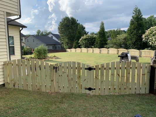 Arch top spaced fence