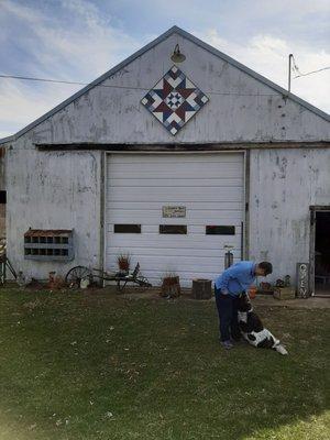 Look for this barn!! And this friendly doggy