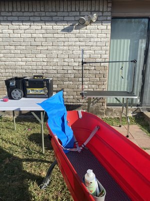 An example of the backyard grooming station.