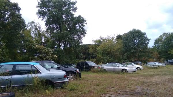 Car graveyard