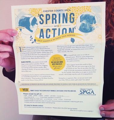 2014 Spring Appeal for CCSPCA