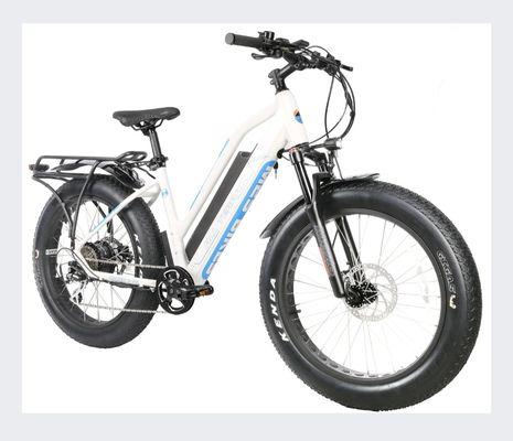 Mountain 2 Stream All Terrain step thru, each on and off. Fast and capable. Instock and ready to ride home (or have us deliver)