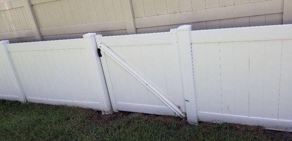 Fence cleaning