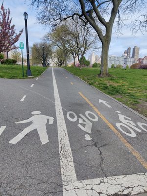 Lanes for biking and walking/running