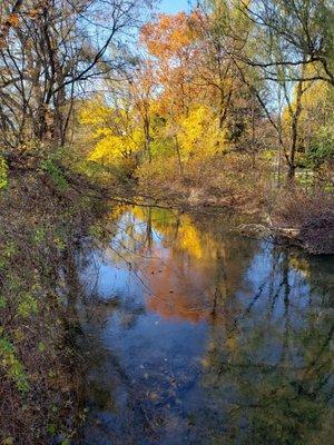 Transitioning to Fall