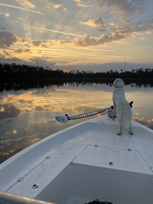 Molly loves the boat too!!