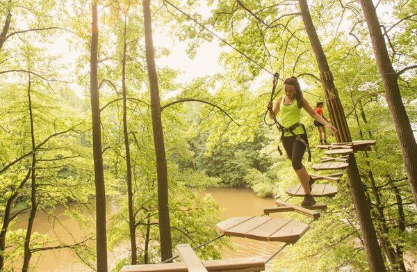 Beautiful views while exploring the tree canopy.