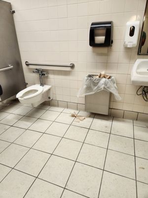 Handicap stall also dirty