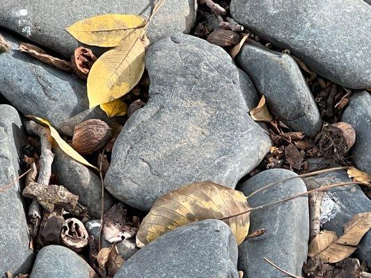 A heart rock seen outside the main Church!