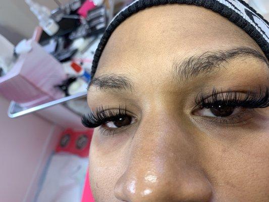 Mega volume Lash Extensions