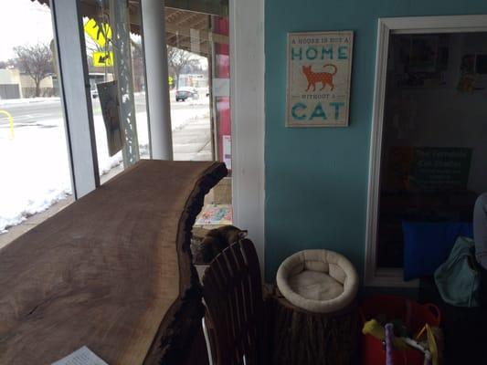 Beautiful wooden countertop, cat friendly!