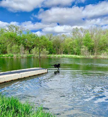 Members can train their dogs at Gehrig Game Farms.  Your dog will love the  ponds and trails!