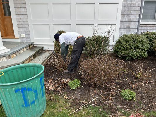 Pruning