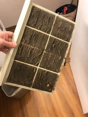 This is what the air filters looked like as well. Need I say more?! BBB DO SOMETHING!@MOTEL 6 Owensboro