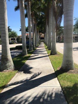 Town Center at St Lucie West