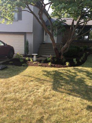 New plantings implemented from design of home