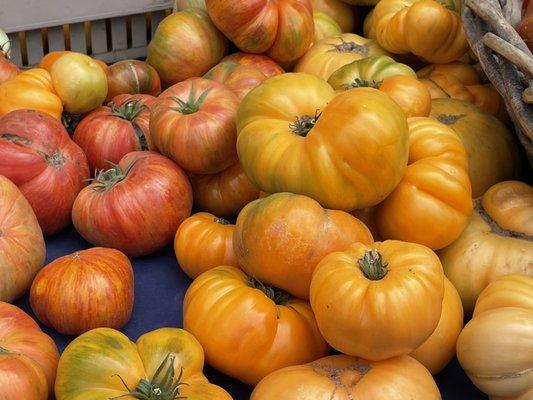 Gorgeous heirloom tomatoes