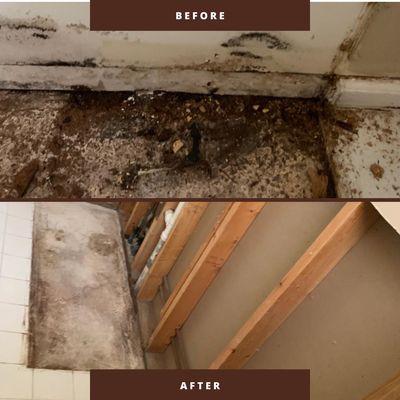 Mold removal done in West Palm Beach