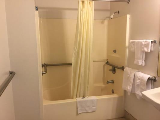 Bathroom - Handicap Accessible