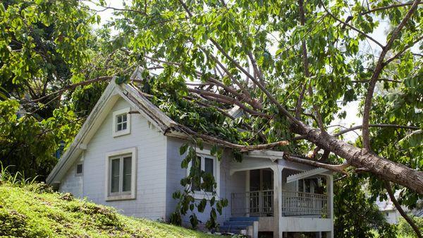 Storm Damage Roof Repair