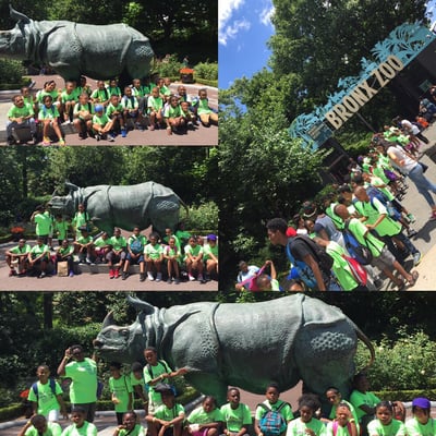 Summer Camp 2015 Trip to the Zoo