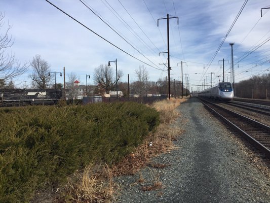 Acela meets eastbound mixed freight 12G