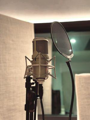 Our Lauten Audio Clarion FC357, one of the most unique & highest quality microphones in the business, sitting in our custom isolation booth.