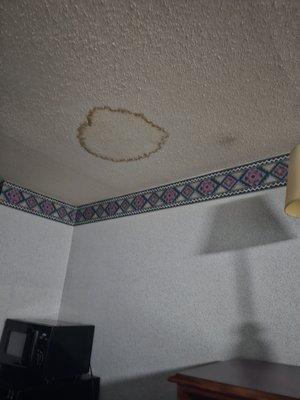 Water stains on ceiling