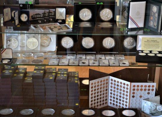 Expert Numismatist