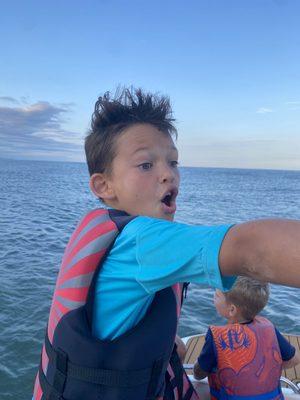 my son super excited seeing dolphins