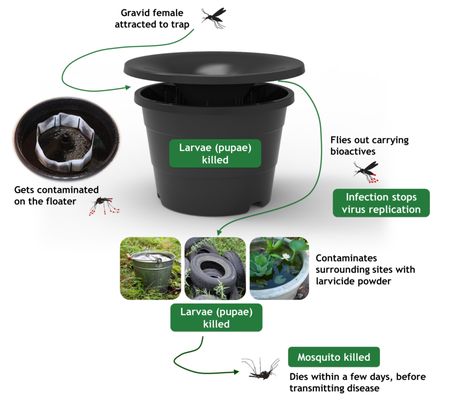 In2Care® Mosquito Trap