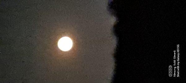 Harvest Moon last night.