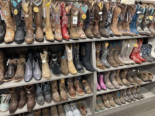 Women's boot section