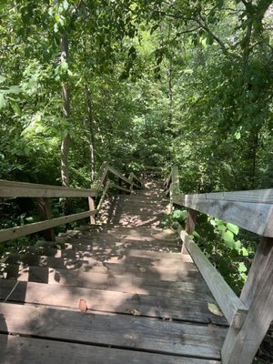 The killer stairs we had to walk up at the end. Goodness.