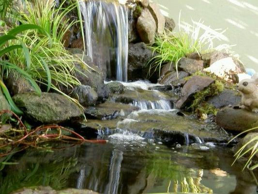 Pond built by Dietter's over ten years ago