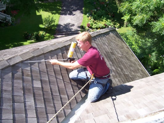 Lakeside pest control bat proofing a commercial structure.