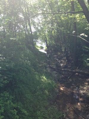 View of stream from bridge.