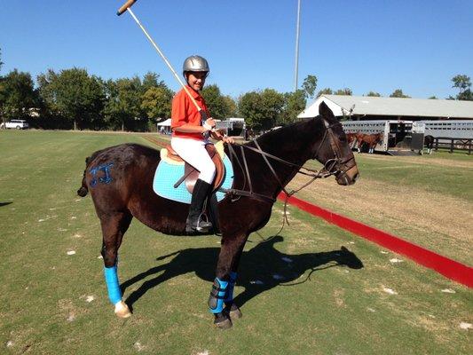 Flanders Polo & Riding Lessons