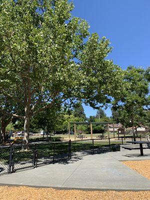 Picnic benches and some shade