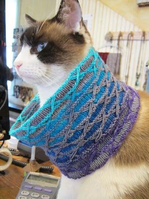 Noro sporting a wonderful cowl from Nelkin Designs