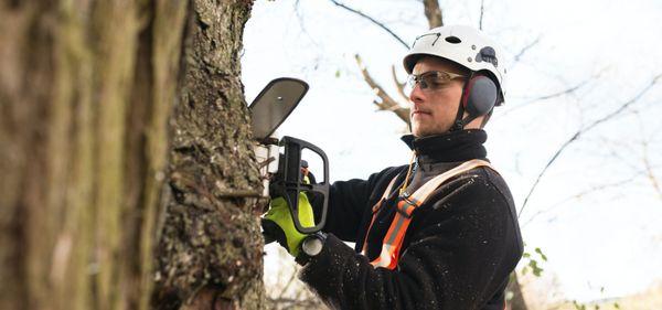 Monster Tree Service of East Cincinnati