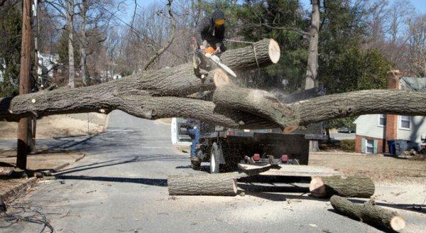 All Around Tree Care