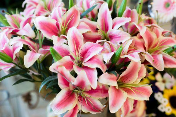 Silk lilies, bet you did not even realize they are faux flowers. Aren't they stunning?