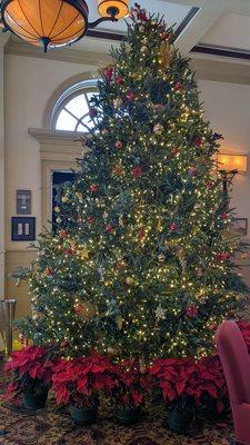 Their gorgeous Christmas tree. What a grand height! 15 feet? Hard to tell!