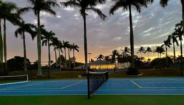 Beautiful Pickleball courts