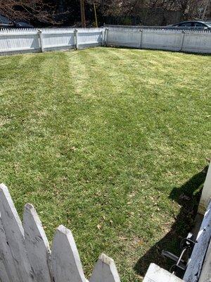 Kicked off the mowing season yesterday for a customer.  Filled in low spots with topsoil and planted grass seed.