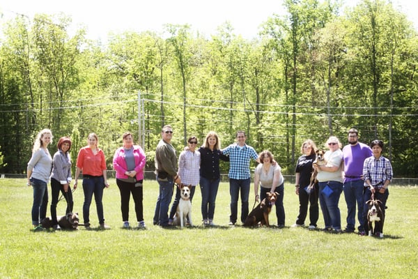 Skilled students, proud instructors, and happy dogs.